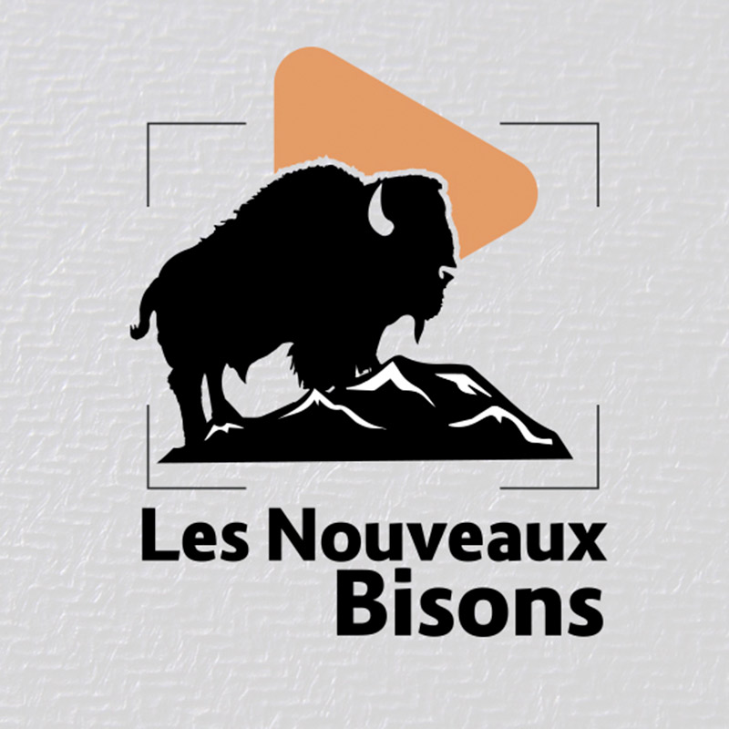Bison_french